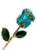 Eternal Rose - Roses That Last Forever