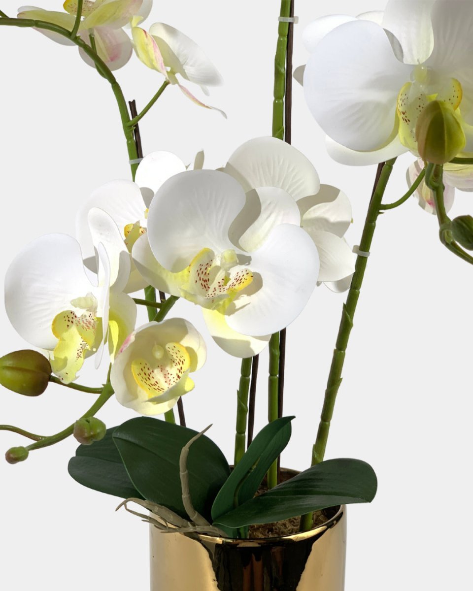 Artificial Crown Phalaenopsis (Life - like Artificial) - Plant Arrangement - coral - Preserved Flowers & Fresh Flower Florist Gift Store