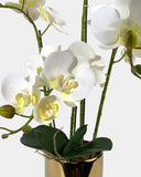 Artificial Crown Phalaenopsis (Life - like Artificial) - Plant Arrangement - coral - Preserved Flowers & Fresh Flower Florist Gift Store