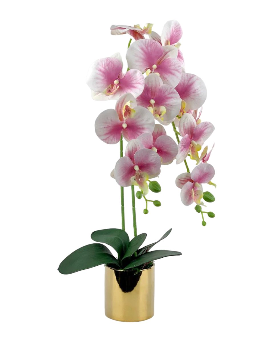 Artificial Crown Phalaenopsis (Life - like Artificial) - Plant Arrangement - white - Preserved Flowers & Fresh Flower Florist Gift Store