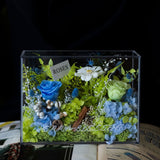 Enchanted Preserved Flower Box - Flowers - Jade Blue - Preserved Flowers & Fresh Flower Florist Gift Store