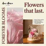 Sora Preserved Flower Dome - Flowers - Cherry Pink - Preserved Flowers & Fresh Flower Florist Gift Store