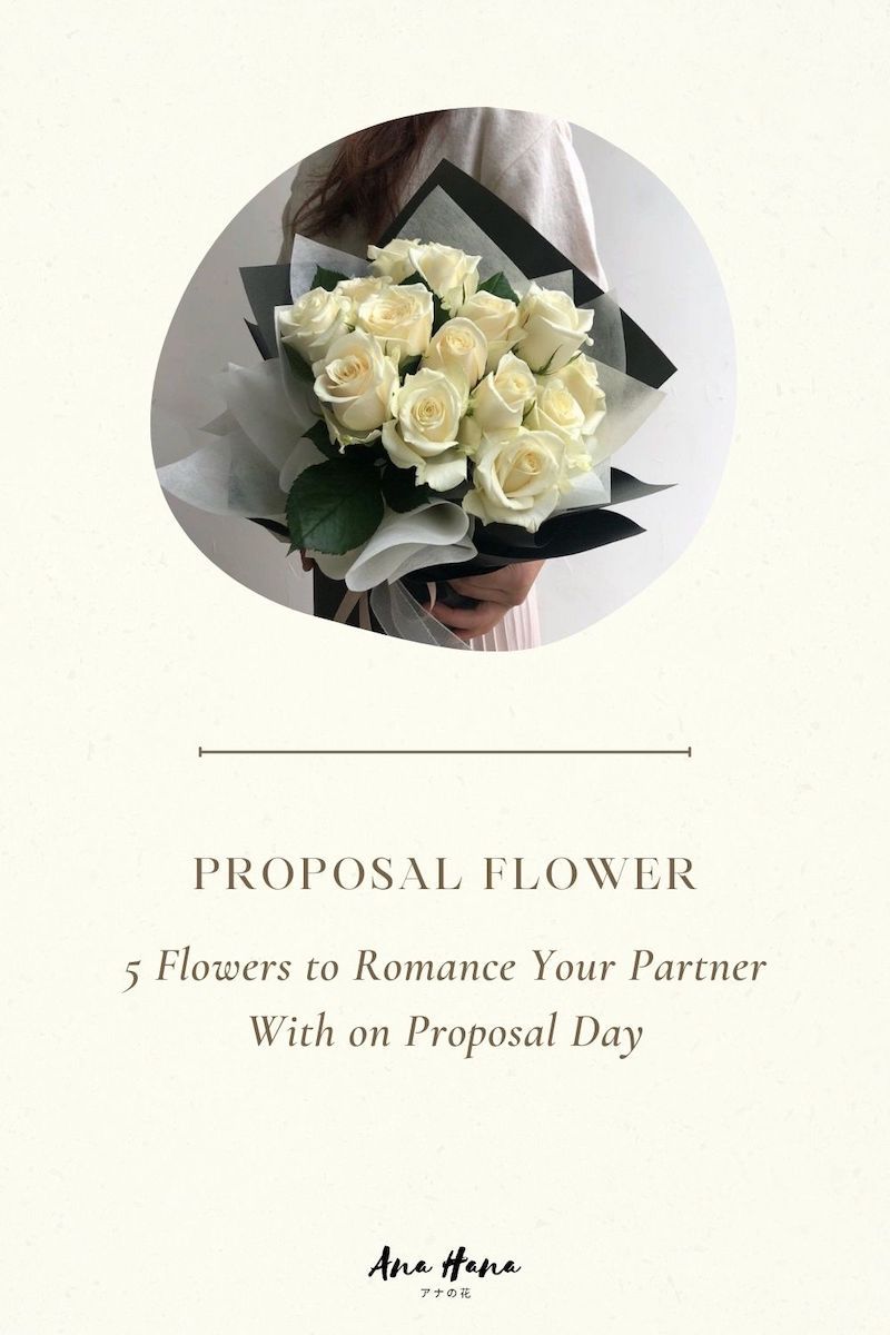Propose Day Roses 5-flowers-to-romance-your-partner-with-on-proposal-day-667647-173650 ...