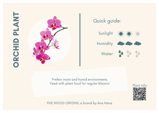 Caring for your Orchid Plant - Ana Hana Flower