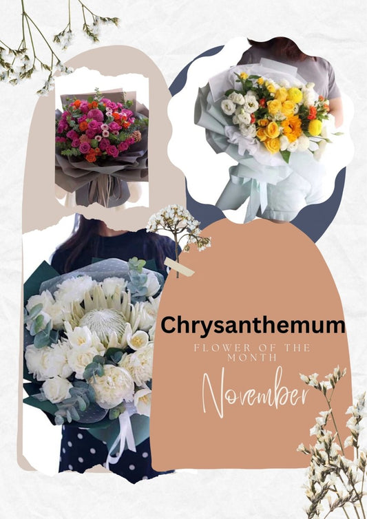 Chrysanthemum: November Birth Flower - Ana Hana Flower