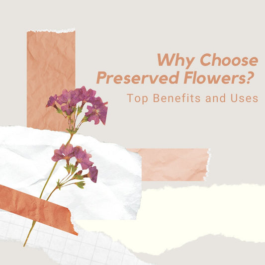 Why Choose Preserved Flowers? Top Benefits and Uses - Ana Hana Flower