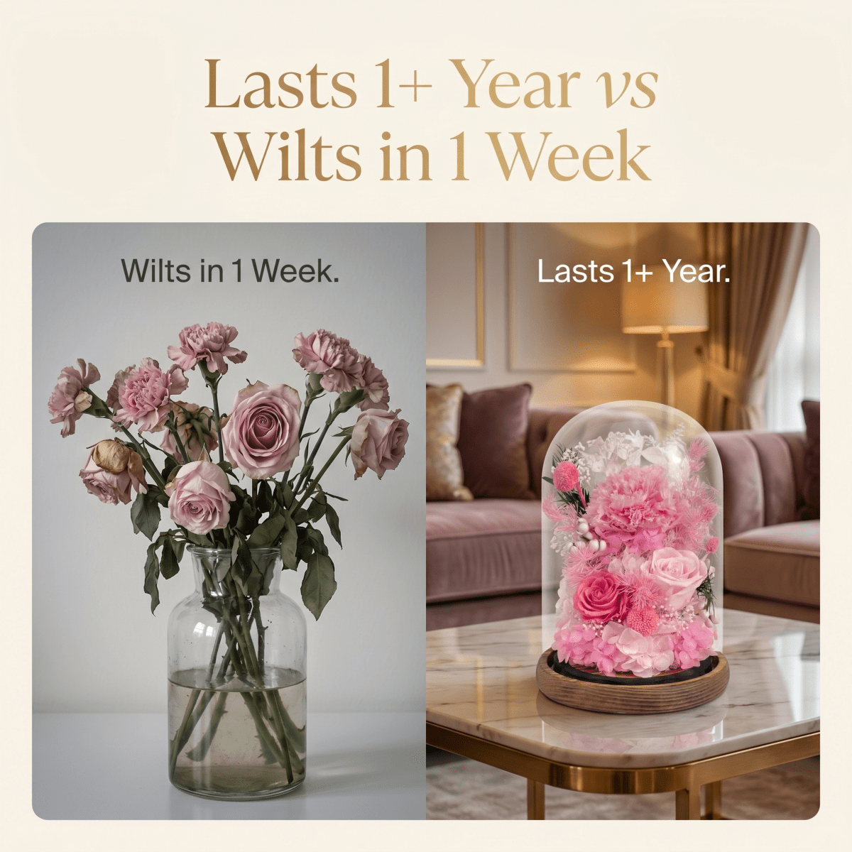 Carnation Bell Dome - Dark Pink - Flowers - Preserved Flowers & Fresh Flower Florist Gift Store