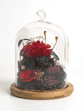 Carnation Bell Jar - Red Garnet - Flowers - Preserved Flowers & Fresh Flower Florist Gift Store
