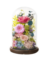 Gardenia Bell Dome - Flowers - Sakura Pink - Preserved Flowers & Fresh Flower Florist Gift Store