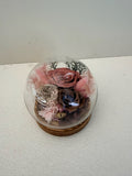 Rose Blowball - Cuppa - Flowers - Preserved Flowers & Fresh Flower Florist Gift Store