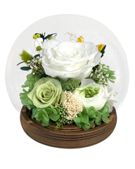 Rose Blowball - Green-White (With Gift Box) - Flowers - Preserved Flowers & Fresh Flower Florist Gift Store