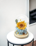 Sunflower Dome - Sunni Blue