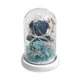 Katsumi Bear Dome - Flower - Blue かつみ - Preserved Flowers & Fresh Flower Florist Gift Store