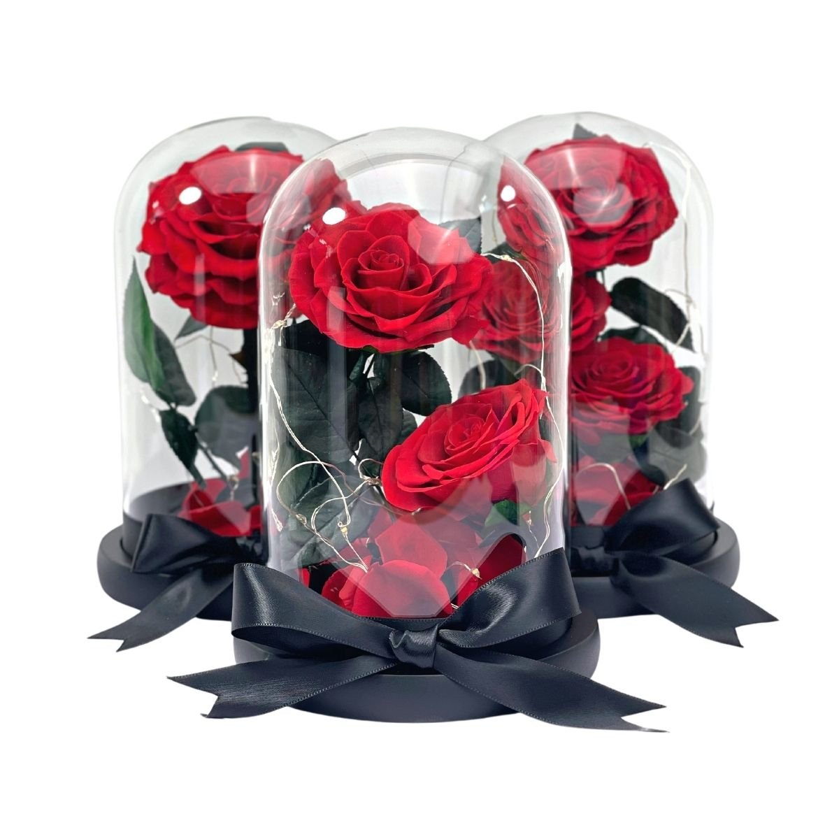 2 Rose - Red Single Preserved Rose - Preserved Flower Dome - Flower - Preserved Flowers & Fresh Flower Florist Gift Store