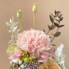 Carnation Bell Dome - Pink Opal (with gift box) - Flower - Preserved Flowers & Fresh Flower Florist Gift Store