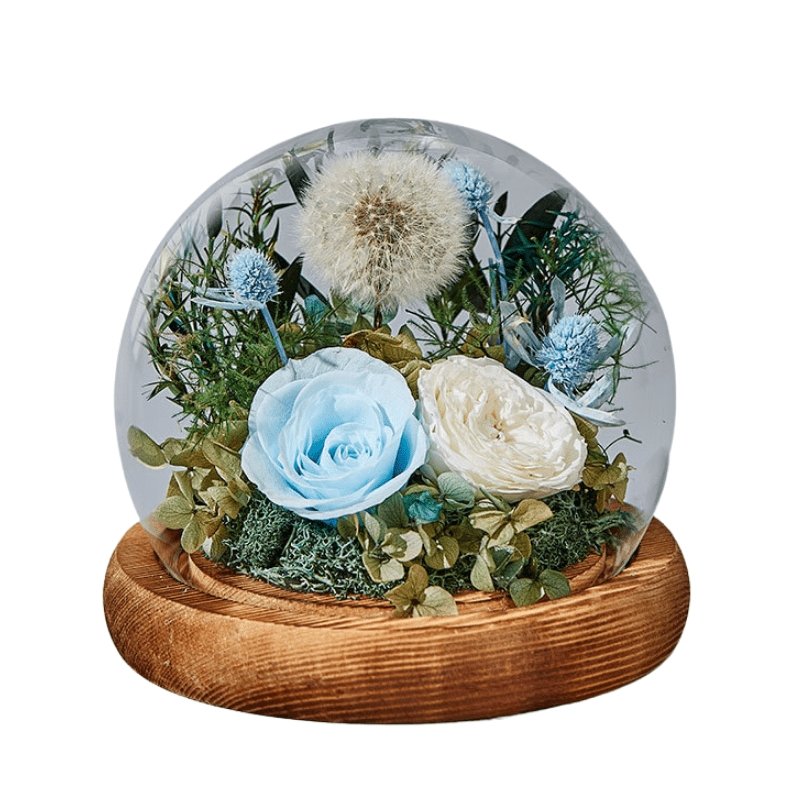 Dandelion Blowball Preserved Flower Dome - Blue - Flower - Preserved Flowers & Fresh Flower Florist Gift Store