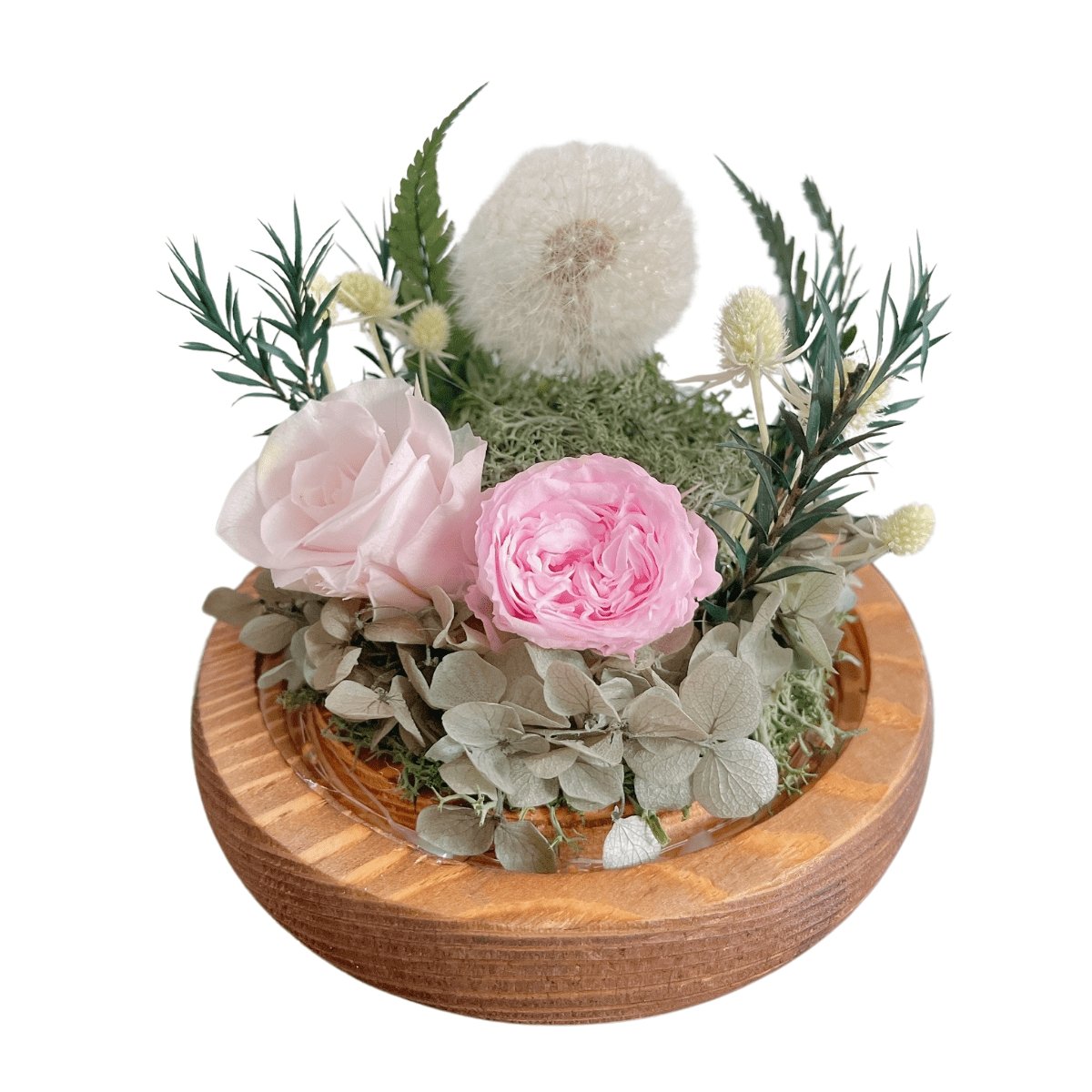 Dandelion Blowball Preserved Flower Dome - Pink - Flower - Preserved Flowers & Fresh Flower Florist Gift Store