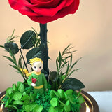 Little Prince, Red Rose - Flower - Preserved Flowers & Fresh Flower Florist Gift Store